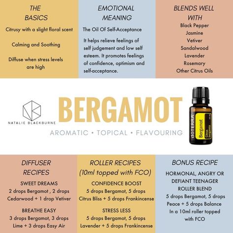 Doterra Bergamot, Bergamot Essential Oil Uses, Essential Oil Roller Bottle Recipes, Essential Oil Usage, Doterra Oil, Essential Oils 101, Doterra Essential Oils Recipes, Essential Oil Diffuser Blends Recipes, Essential Oil Remedy