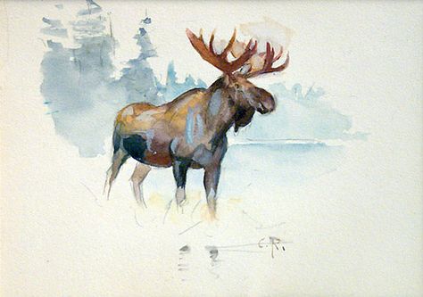 Moose Watercolor, Moose Painting, American Wildlife, North American Wildlife, Watercolour Inspiration, Watercolor Painting Techniques, Alcohol Ink Art, Watercolor Inspiration, Watercolor Animals