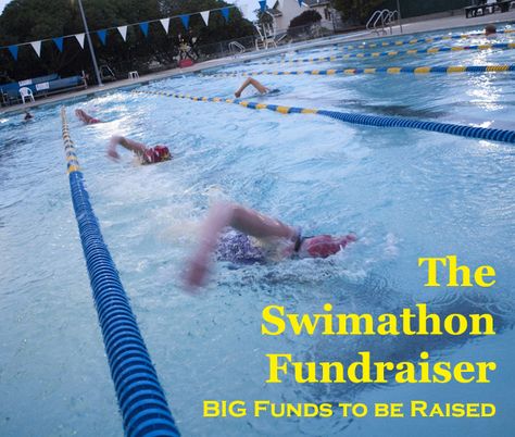 Summer Swim Team, Swim Coach, Team Fundraiser, Easy Diet Plan, Swim Meet, Swimming Workout, Swim Team, Summer Swim, Low Impact Workout