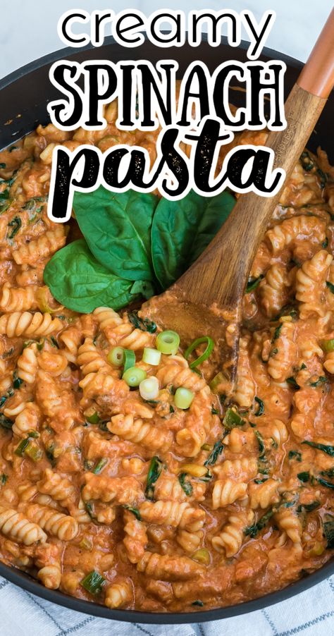 Creamy Red Sauce, Spinach Spaghetti, How To Make Spinach, One Pot Vegetarian, Red Sauce Pasta, Cheese Butter, One Pot Meal, Spinach Pasta, Creamy Spinach