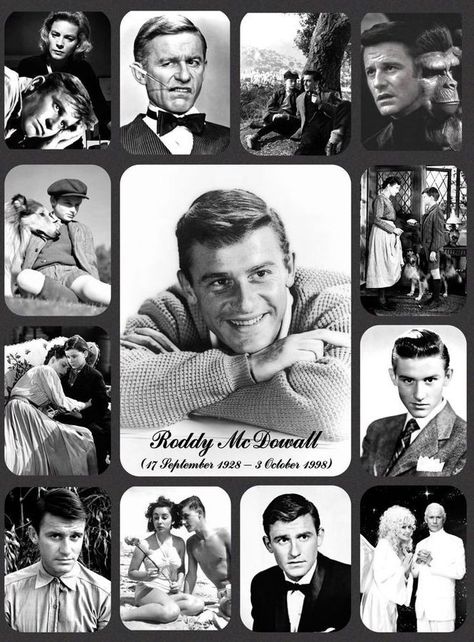 Roddy Mcdowall, Childhood Memories 80s, Celebrities Who Died, Old Hollywood Movie, Classic Film Stars, Hooray For Hollywood, Movie Clips, Film Stars, Stars Then And Now