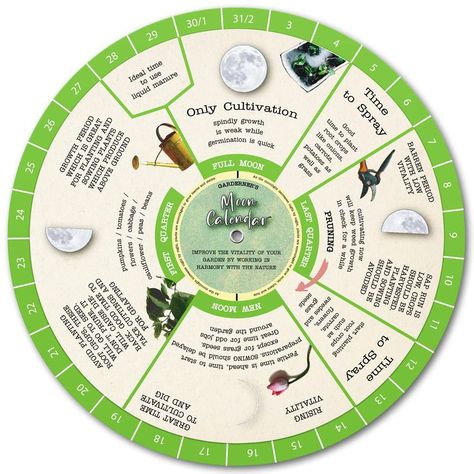 Planting Chart, Gardening Calendar, Companion Planting Chart, Gardening Activities, Seed Storage, Garden Activities, Farmers Almanac, Garden Calendar, Moon Calendar