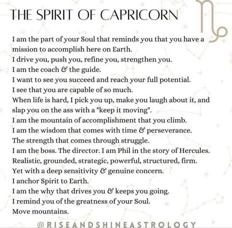 Capricorn Sun Sign, Capricorn Sun, Capricorn Astrology, Sea Goat, Capricorn Aesthetic, Astrology Houses, Sagittarius Quotes, Capricorn Life, Libra Man