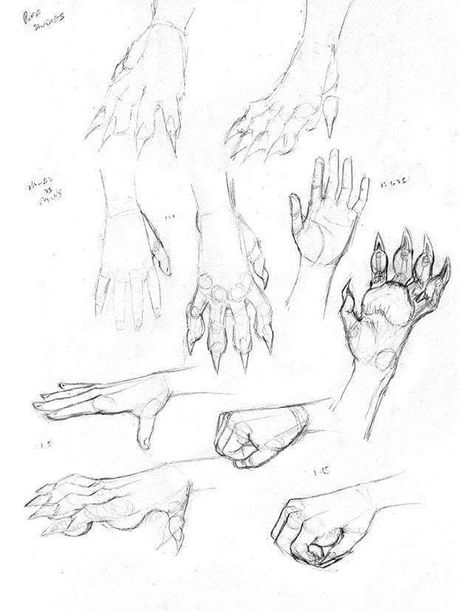 Rat Hands Drawing, Clawed Hands Drawing Reference, Animal Claws Drawing, Rat Feet Drawing, Paw Hands Reference, Claw Art Reference, Dragon Hands Reference, Dragon Claws Drawing Reference, Clawed Hands Drawing