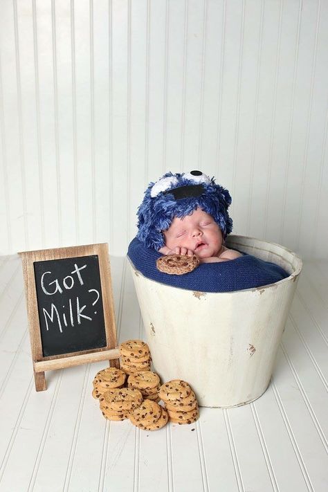 Cookie Monster Newborn Photo Shoot, Cookie Photoshoot Baby, Cookie Baby Photoshoot, Baby Cookie Photoshoot, Cookie Monster Milk Bath, 1st Month Baby Pictures Ideas Boy, Cookie Monster Photo Shoot, Summer Baby Photos, Birthday Photoshoot Ideas Boys