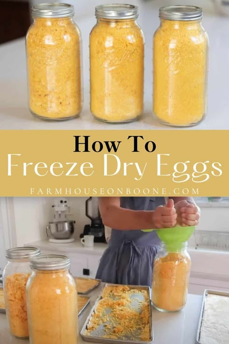 How To Use Freeze Dried Eggs, Harvest Right Freeze Dryer Ideas, Freeze Drying Eggs, Freeze Dry Eggs, Freeze Dried Eggs, How To Preserve Eggs Long Term, How To Dehydrate Eggs, Dehydrated Eggs, Ways To Preserve Eggs