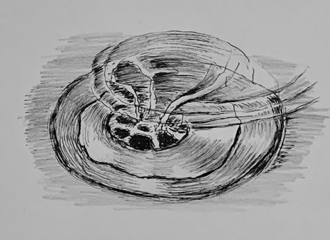 Drain Drained Draw, Ink Drawing, My Drawings, Drain, Abstract Artwork, Drawings, Quick Saves, Art