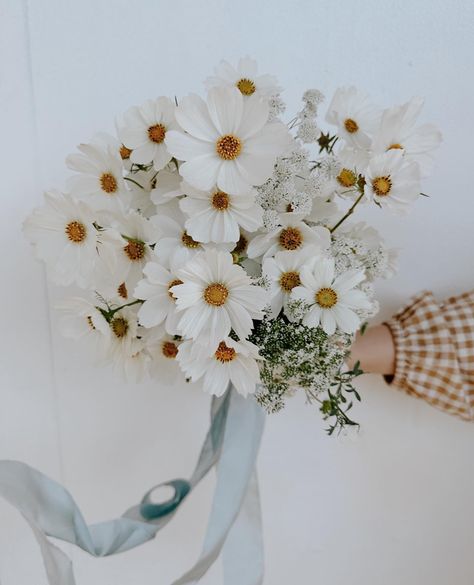 Dreamy cosmos beauty by @willabotanica 🌼 #thefloristquarter #willabotanica #barringtoncoastflorist #barringtoncoastweddingflorist #midnorthcoasteventflorist #australianflorists #freelanceflorists #australianfloristdirectory #forflowerlovers #flowercommunity #floristcommunity #communityovercompetition Cosmos Wedding Bouquet, Chamomile Wedding, Cosmos Wedding, Cosmos Bouquet, Cosmo Flowers, Small Wedding Bouquets, Wildflower Wedding Bouquet, Wedding Decorating, West Coast Wedding