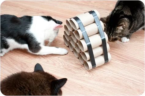 c894627d78c3fe8c1b9e2ed9f774a49a.webp (640×425) Kat Diy, Homemade Cat Toys, Diy Pet Toys, Cats Playing, Cat Tent, Diy Cat Toys, Cat Puzzle, Homemade Cat, Söt Katt