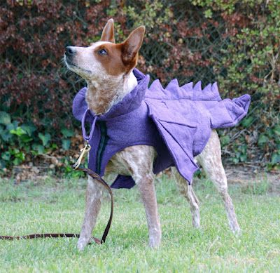 Dog Dragon Costume, Felt Costume, Felt Outfit, Dog Dragon, Dragon Dog, Dog Halloween Costume, Dragons Love Tacos, Medieval Fair, Dragon Costume