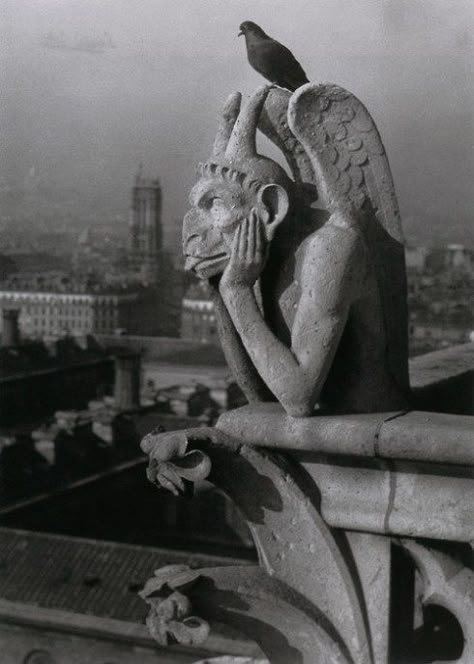 Notre Dame Gargoyles, Gargoyles Art, Gothic Gargoyles, Architectural Sculpture, Gothic Architecture, White Photo, Art Plastique, Book Photography, Fantasy Creatures