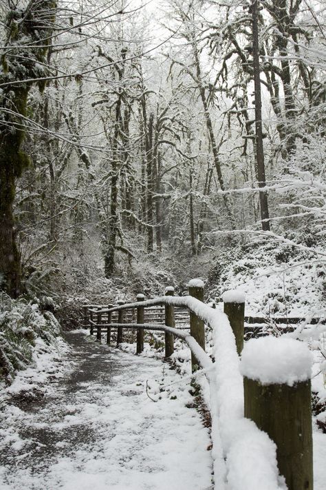 Winter In Portland Oregon, Oregon Snow, 2025 Moodboard, Oregon House, Horse Drawn Wagon, Old Wagons, Snow Pictures, State Of Oregon, Willamette Valley