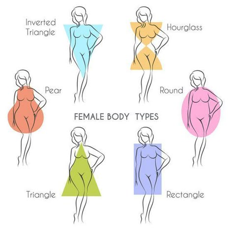 Body Shape Chart, Female Body Types, Type Anatomy, Shape Drawing, Dress Body Type, Shape Chart, Triangle Body Shape, Rectangle Body Shape, Body Types Women