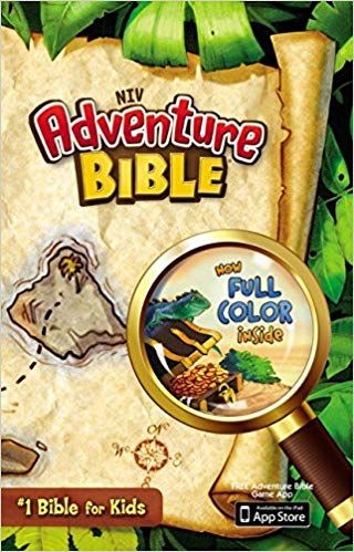 The 7 Best Children's Bibles for 2020 (Kids will love) Best New & Popular Story Bibles Scriptures For Kids, Adventure Bible, Don Delillo, Gospel Of Mark, Bible Dictionary, Tricky Words, Niv Bible, Bible Games, Childrens Bible