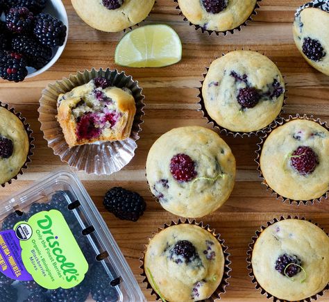 Click here for the Driscoll's Blackberry Lime Olive Oil Muffins Recipe. View more recipes here. Olive Oil Muffin Recipe, Lime Muffins, Olive Oil Muffins, Driscolls Berries, Blackberry Muffins, Blackberry Muffin, Olive Oil Recipes, Berry Recipes, Berry Dessert