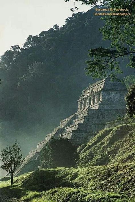 Palenque Chiapas Step Pyramid, Beautiful Ruins, What A Beautiful World, Ancient Ruins, Vacation Places, The Temple, Countries Of The World, Amazing Architecture, Wonderful Places