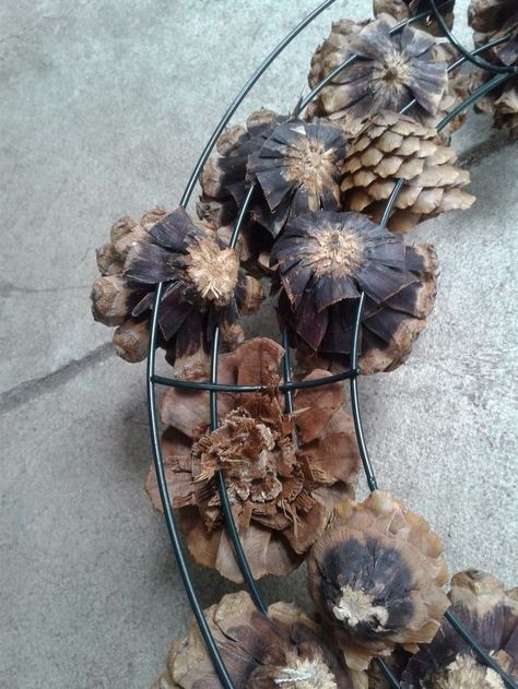 Hometalk Rose Pine Cone Crafts, Pine Cone Flower Arrangements, What To Do With Pine Cones, Pinecone Wreath Diy, Pine Cone Flower Wreath, Wooded Area, Fruit Wreath, Painted Pinecones, Pine Cone Art