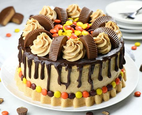 Peanut Butter Chocolate Cake garnished with Reese's cups and Reese's Pieces. Chocolate Peanut Butter Dessert Recipes, Homemade Chocolate Peanut Butter, Reeses Cake, Chocolate Peanut Butter Desserts, Cake Mix Ingredients, Nursing Cake, Baking Treats, Chocolate Peanut Butter Cake, White Cake Recipe