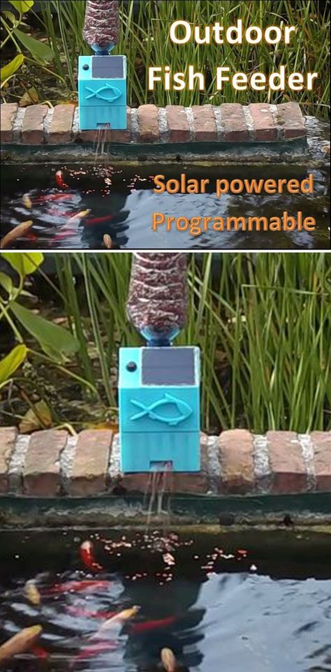 Everyone with pet fish, either in a pond or an aquarium, has had the issue of not being able to feed them when on holiday. To solve this, I decided to make an automatic fish feeder. Since my fish are in a pond outside, I wanted to make this project solar powered. Turtle Aquarium, Aquaponics Greenhouse, Automatic Fish Feeder, Fish Feeder, Turtle Pond, Earthship Home, Aquaponics System, Solar Projects, Aquarium Design