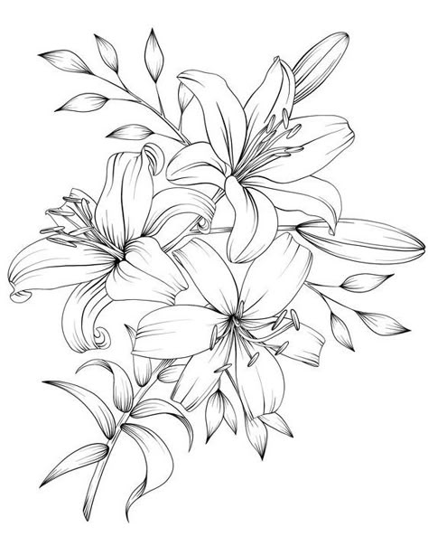 √ 30+ Sketsa Gambar Mewarnai Bunga {Terlengkap} - Servergambar01 Lilly Drawing Flowers, Lilly Drawing, Lily Flower Tattoos, Beautiful Flower Drawings, Flower Line Drawings, Lily Tattoo, Flower Art Drawing, Floral Tattoo Design, White Drawing