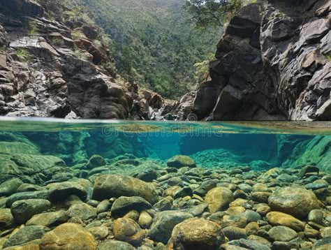 Rocks over and under the water in a river. Rocks over and under the water split , #AFFILIATE, #river, #split, #Rocks, #water, #Dumbea #ad Underwater Rocks, Underwater River, Rainbow Trout Fishing, Rock River, Water Landscape, Under The Water, River Rocks, Rock Pools, New Caledonia