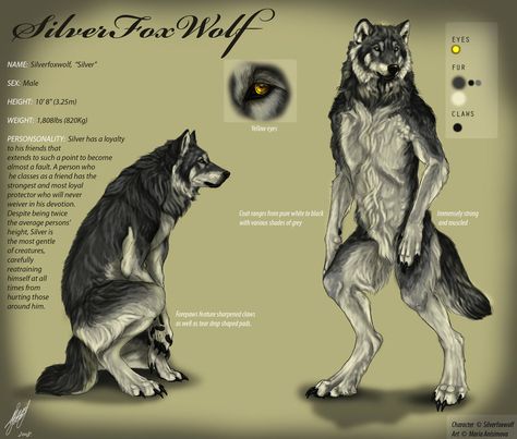 SFW refsheet by Yellow-eyes Anime Werewolf, Werewolf Vs Vampire, Wolf Warrior, Fantasy Story Ideas, Werewolf Aesthetic, Anthro Art, Just Tell Me, Sketch Human, Assassin Creed