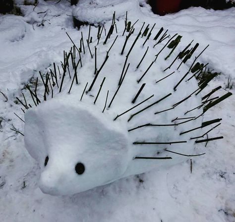 Snow hedgehog Winter Hedgehog, Thanksgiving Day Parade, Parade Float, Winter Vibes, Snow And Ice, Winter Time, Float, Thanksgiving