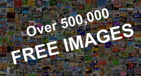 Free Images on Pixabay... Article about the advantage of using Pixabay Creative Commons photos for your website and blogs. Good information for #bloggers. Pixabay Image Free Photos, Free Images No Copyright, Copyright Free Images, Creative Commons, Free Images, Free Photos, Life Hacks, Tech Company Logos, Photographer