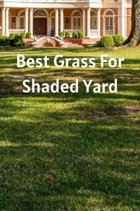 Best Grass For Shaded Yard Small Greenhouse Interiors, Greenhouses Ideas, Herb Garden Outdoor, Greenhouse Shelving, Aesthetic Greenhouse, Kitchen Greenhouse, Greenhouse Shelves, Lawn Problems, Lawn Leveling