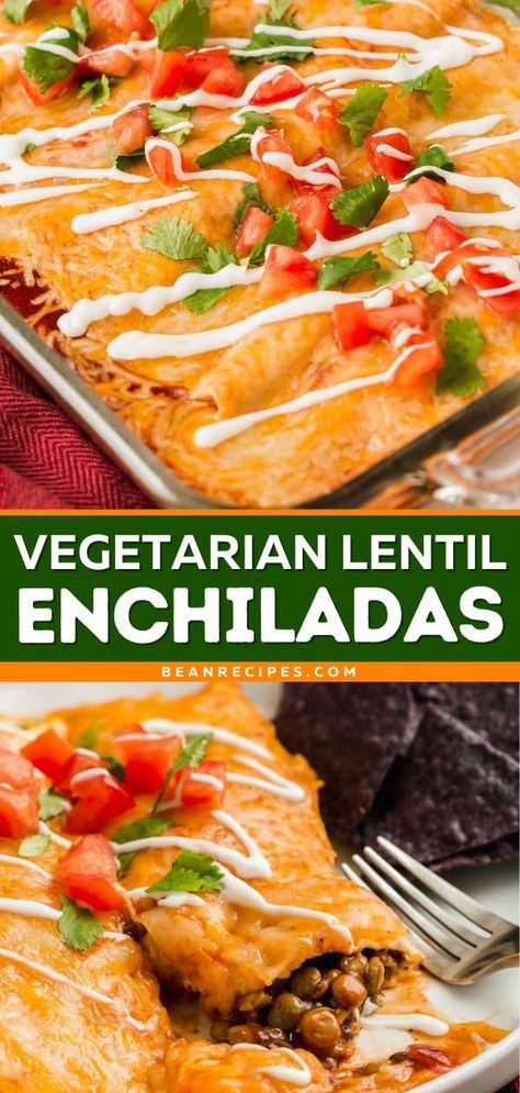 Lentil Enchilada Casserole, Green Lentil Dinner Recipes, Lentils For Dinner, Meals With Green Lentils, Lentil Recipes Dinner, Leftover Lentils Recipes, Lentil And Spinach Recipes, Lentils Recipes Healthy, Green Lentils Recipe Easy