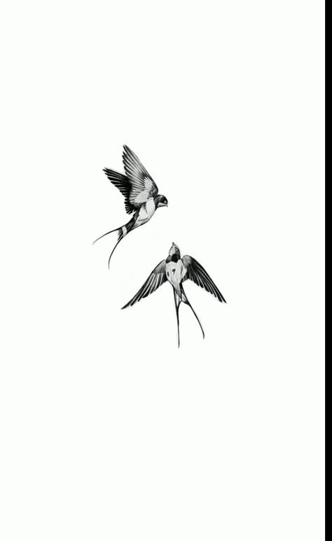 Realistic Robin Tattoo, Two Robins Tattoo, Flying Swallow Tattoo, Bali Tattoo Ideas Men, Sparrow Tattoo Men, Two Magpies Tattoo, Swallow Tattoo Men, Sleeve Filler Ideas Men Arm Tattoo, Small Bird Tattoos For Women