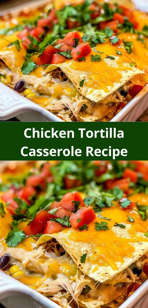 My picky eater husband loved this Chicken Tortilla Casserole! He even asked for seconds. Definitely making this again. Casserole Using Corn Tortillas, Tortilla Casserole Recipes Chicken, Chicken And Corn Tortilla Recipes, Flour Tortilla Casserole Recipes, Mexican Chicken Casserole With Tortillas, Chicken Tortilla Casserole Recipes, Corn Tortilla Recipes Dinners, Corn Tortilla Casserole, Tortilla Casserole Recipes