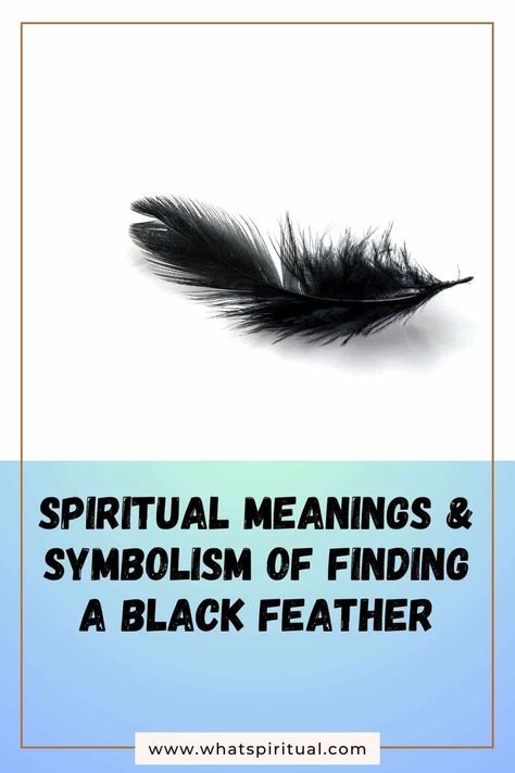 10 Meanings of Finding Black Feather (Spiritual & Biblical) 2 Meaning Of Black Feather, Red Feather Meaning, Black Feather Meaning, 10 Meaning, Finding Feathers, Feather Tattoo Meaning, Feather Meaning, Celtic Culture, Spiritual Cleansing