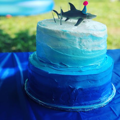 Homemade Kids Birthday Cake, Jaws Birthday Cake, Shark Birthday Cake Ideas, Beginner Cakes, Shark Cake Ideas, Whale Birthday Cake, Shark Themed Cakes, Shark Birthday Cake, Ombré Cake