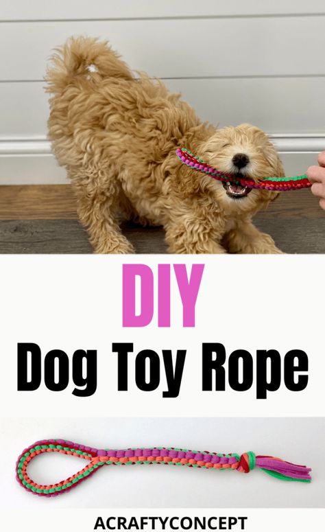 How To Make Dog Toys Diy, Diy Crochet Dog Toy, T Shirt Yarn Dog Toy, Dog Toys Made From Tshirts, T Shirt Dog Toy Diy, Diy Dog Rope Toy, Diy Dog Things, How To Make Dog Toys, Diy Rope Toys For Dogs