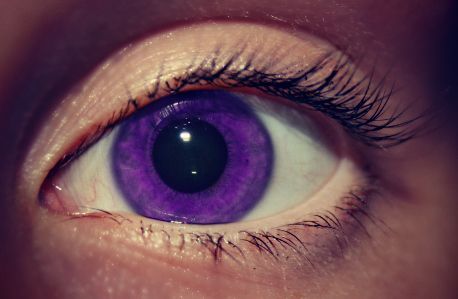 Black Contact Lenses, Colored Eye Contacts, Halloween Contact Lenses, Black Dagger Brotherhood, Violet Eyes, Aesthetic Eyes, Purple Love, Contact Lenses Colored, All Things Purple