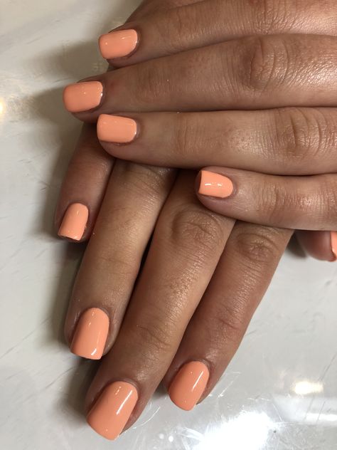 Sweet apricot by dnd 💅🏽 #gelnails #dnd #gelmani #gelpolish #gelcolor @dndgel Dnd 619 Sweet Apricot, Bib Short Nails, Apricot Nails, Dnd Nails, Peach Nail Polish, Shiny Nails Designs, Nails Neutral, Luminous Nails, Summer Gel Nails