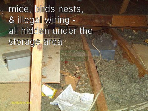 air seal your attic before insulating, home maintenance repairs, how to, Eek guess we might have a few other things to fix so glad I put that respirator on If you do have mouse or other droppings the old insulation needs to be removed Diy Insulation, Garage Attic, Attic Insulation, Attic Remodel, Home Fix, The Attic, Storage Area, Amazing Diy, Garage Workshop