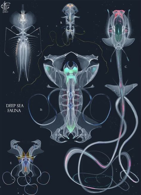 Deep Sea Horror, Deep Sea Creatures Art, Fantasy Sea Creatures, Underwater Monster, Animal Chart, Deep Sea Creature, Monster Beast, Scifi Horror, Horror Design