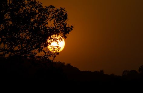 full moon covered with tree photo – Free Nature Image on Unsplash Moon Cover Photo Aesthetic, Moon Cover Photo, Lanscape Photoshoot Aesthetic, Dan Snow, Aesthetic Moon, Photoshoot Aesthetic, Free Nature, Tree Photo, Moon Photos