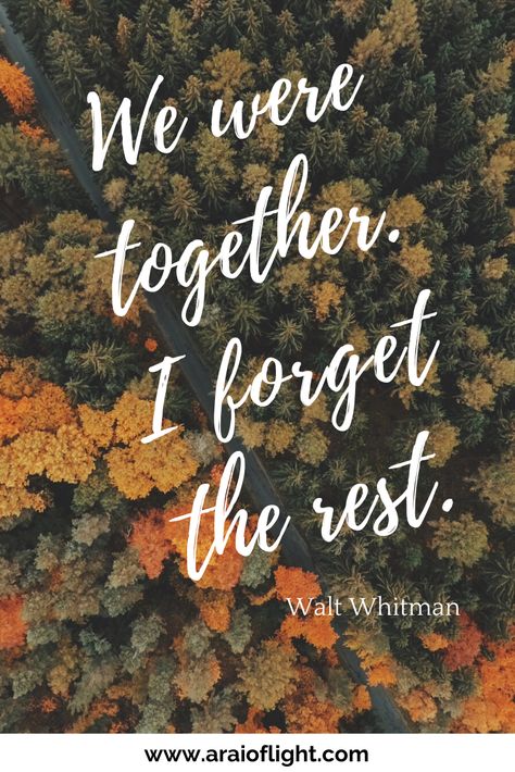 A heartwarming list of Family Quotes to inspire our next vacation together. 101 Family travel Quotes and Family trip quotes. Because…. It’s never too early to begin exploring the world. Because… Families that travel together, stay together. | Travel with kids | Ohana | Children.  Also found: Inspirational Quotes about together | Quotes on family vacations    #quotes #family #travelquote #familyquotes #inspiration #travelwith Vacation Me Please Quotes, Family Journey Quotes, Tradition Quotes Family, Family Outing Quotes, Cute Family Quotes Short, Family Traditions Quotes, Fall Family Quotes, Traditions Quotes, Family Quotes Short