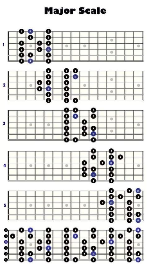 Basic Chords Guitar, Learn Guitar Scales, Guitar Scales Charts, Guitar Chords And Scales, Ovation Guitar, Learn Guitar Chords, Music Theory Guitar, Guitar Notes, Guitar Fretboard