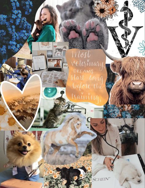 Procreate Vision Board Animal Vision Board, Veterinarian Vision Board, Procreate Vision Board, Vet Vision Board, Veterinarian Aesthetic Collage, Veterinarian Aesthetic Pictures, Veterinarian Aesthetic Wallpaper, Vet Med Wallpaper, Future Veterinarian Wallpaper