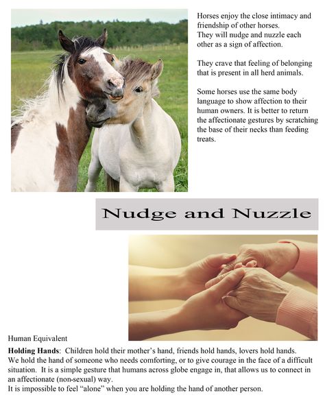 This is one of the easy reference pages from my book "How to De-code Equine Body Language - a fascinating study that will take your horsemanship to the next level of understanding. #equinebehaviour #horsewatching #bodylanguage Horse Language, Horses Body Language, Horse Collection Exercises, Horse Judging Practice, Somatic Mutation Horse, Equine Therapy, Horse Care Tips, Levels Of Understanding, Horse Tips