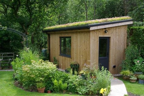 Garden Office Green Roof, Grass Roof Shed, Live Roof Shed, Shed With Green Roof, Green Roof Shed, Shed Green Roof, Garden Studio Design, Living Roof Shed, Live Roof