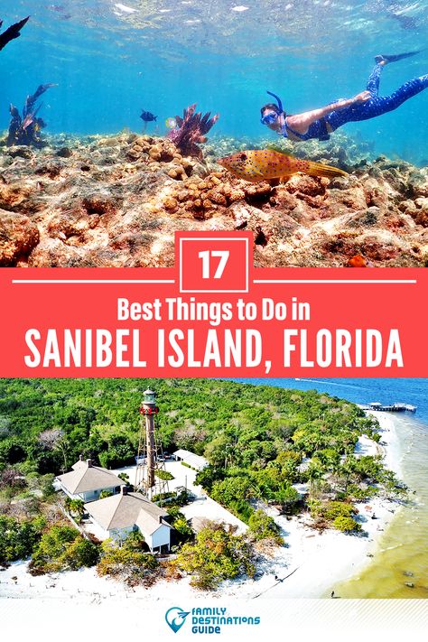 Want to see the most incredible things to do in Sanibel Island, FL? We’re FamilyDestinationsGuide, and we’re here to help: From unique activities to the coolest spots to check out, discover the BEST things to do in Sanibel Island, Florida - so you get memories that last a lifetime! #sanibelisland #sanibelislandthingstodo #sanibelislandactivities #sanibelislandplacestogo Beautiful Seashells, Florida Family Vacation, Activities Outdoor, Sanibel Island Florida, Captiva Island, Montezuma, Visit Florida, Monteverde, Destin Florida