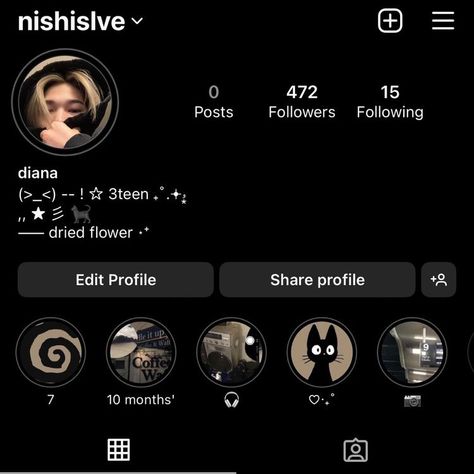 Instagram Profile Icons Aesthetic, Instagram Account Themes, Ideas For Instagram Profile, Pfp For Highlights On Insta, Facebook Profile Ideas, Aesthetic Insta Profile Ideas, Instagram Profile Inspiration, Highlight Ideas For Instagram, Aesthetic Instagram Profile Ideas