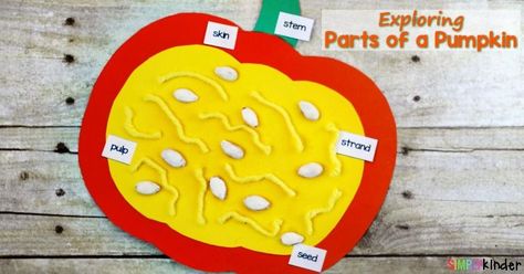 Free parts of a pumpkin labels from Simply Kinder.  A great Fall or Halloween Activity All About Pumpkins, Preschool Pumpkin, Pumpkin Lessons, Pumpkins Preschool, Pumpkins Kindergarten, Pumpkin Science, Pumpkin Unit, Parts Of A Pumpkin, Halloween Kindergarten