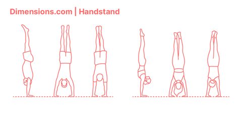 Handstand Drawing Reference, Handstand Tattoo, Handstand Drawing, Crane Pose, Adho Mukha Svanasana, Arm Balance, Body Action, Plank Pose, Forward Fold