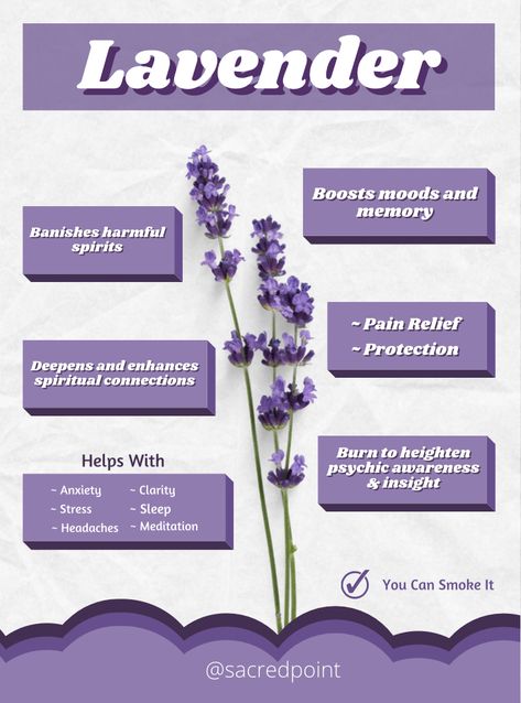 #lavender #herbs Lavender Herb Magic, Lavender Herb Uses, Lavender Plant Uses, Smokable Herbs, Witch Tea, Magic Ingredients, Cafe Recipes, Lavender Art, Lavender Herb